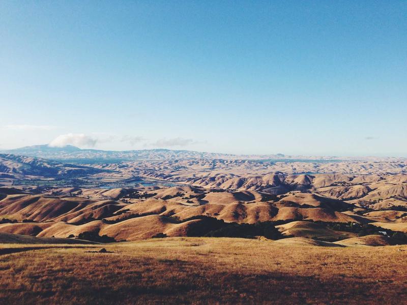 Ravenf Atelpa Va Mendoza 3