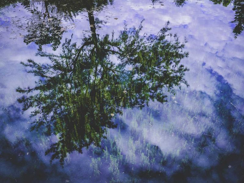 Ezequiel Bravo Mendoza